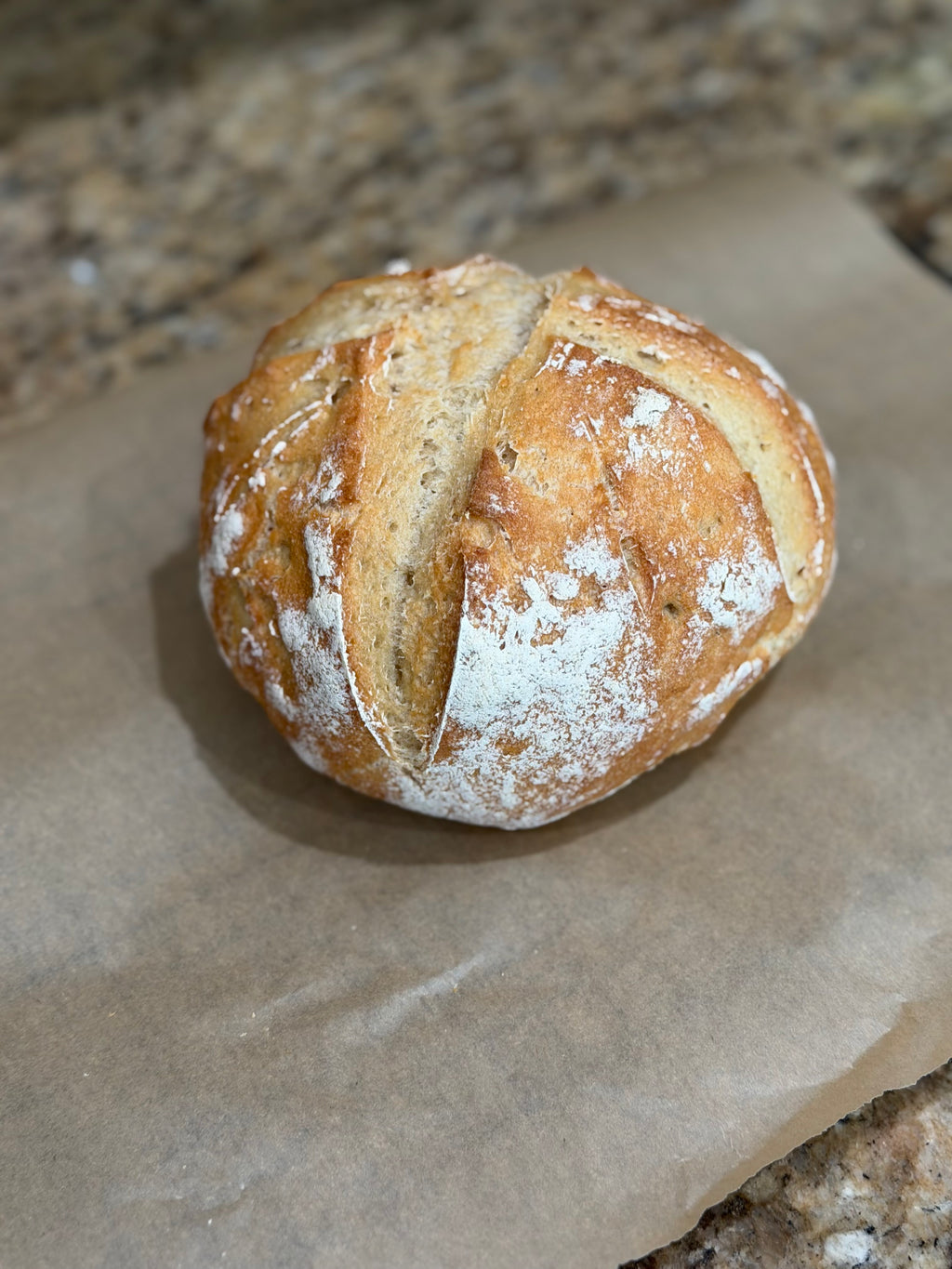 Gluten Free Plain Sourdough Bread