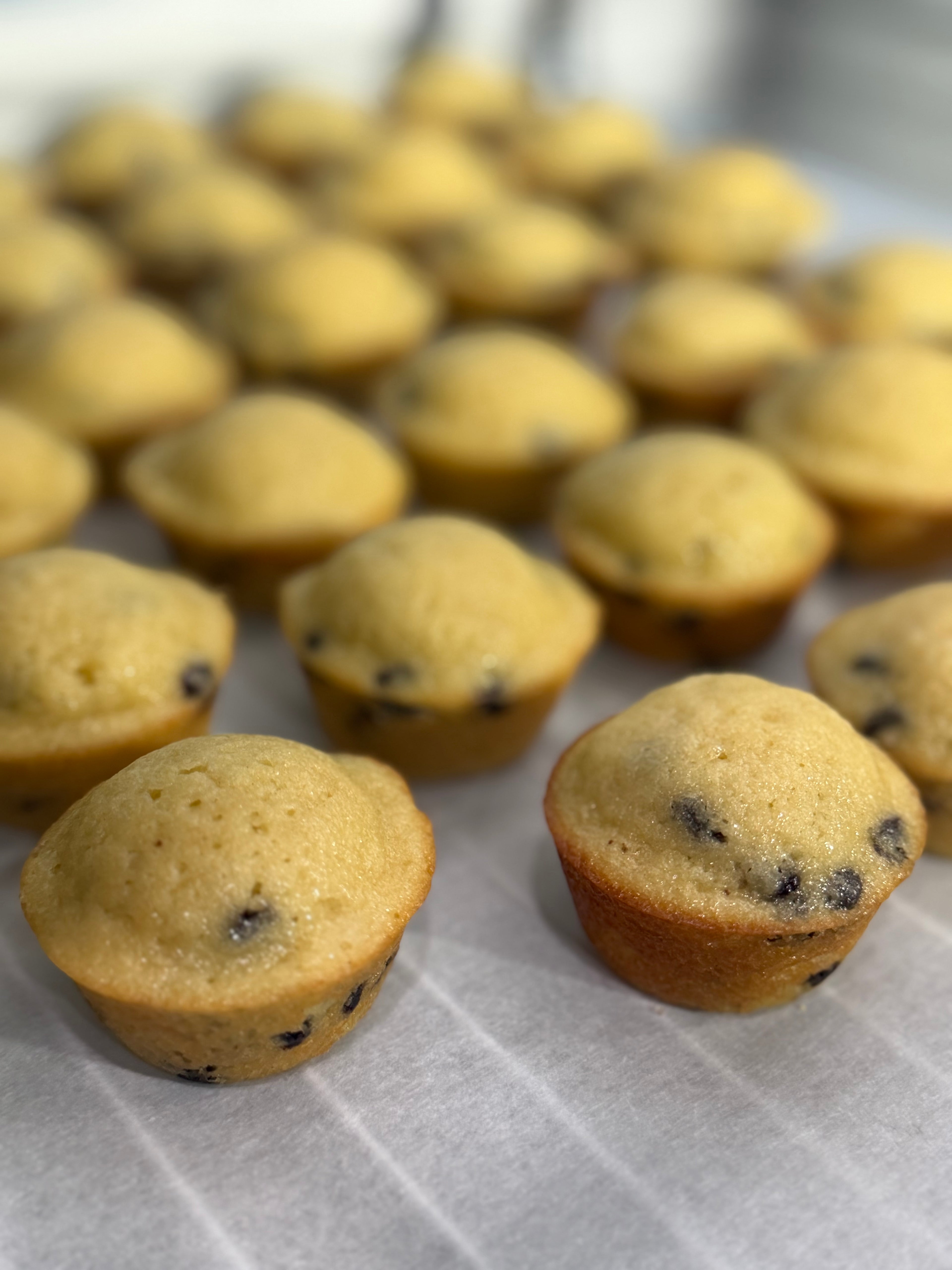Sourdough Chocolate Chip Mini Muffins